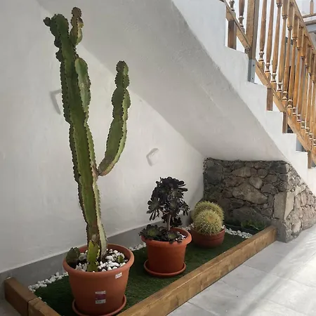 Gar House La Dimora De Suenos Гарачико