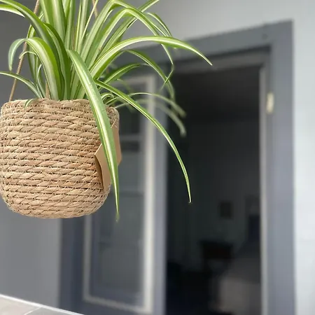 بيت شباب Gar House La Dimora De Suenos